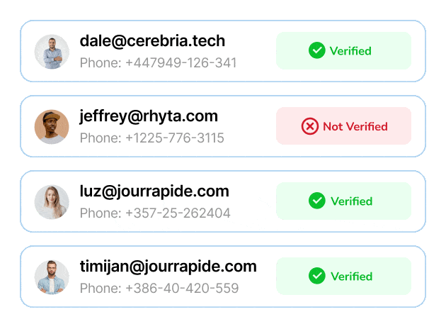 Verified lead database preview